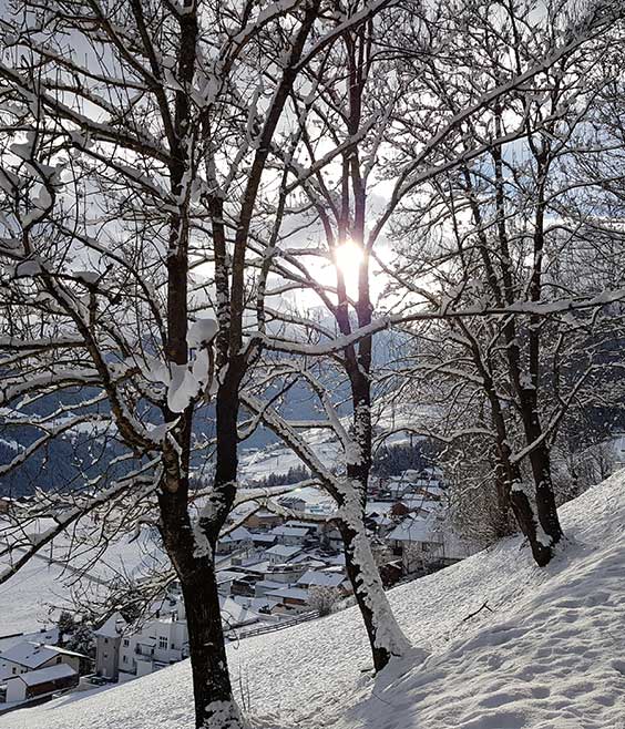 Winteridylle in Oberperfuss-Berg